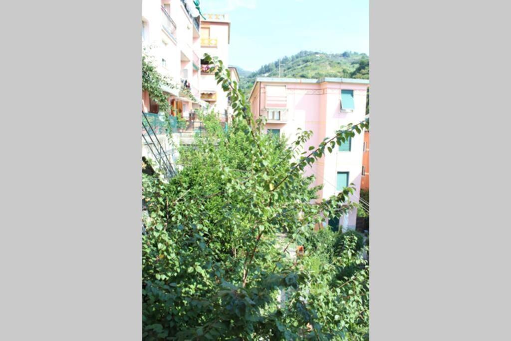 Ca Du Rocco - Citra 011019-Lt-0343 Apartment Монтеросо ал Маре Екстериор снимка